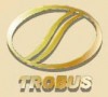 Башкирский Троллейбусный Завод (БТЗ, УРТТЗ, Trobus)