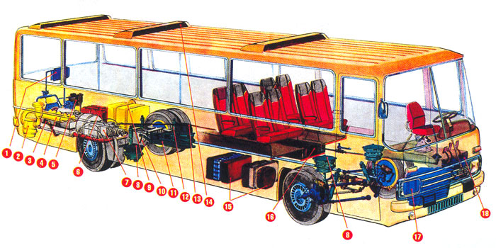 Схематический чертеж автобусов Ikarus-250, 255, 256