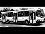 ЛАЗ-52523