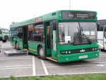 МАЗ-5295