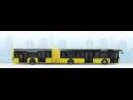 CityLAZ-20