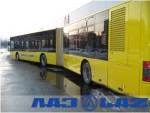  CityLAZ-20