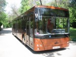 МАЗ-203